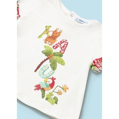 ROPA CULETIN  _  MAS CAMISETA  